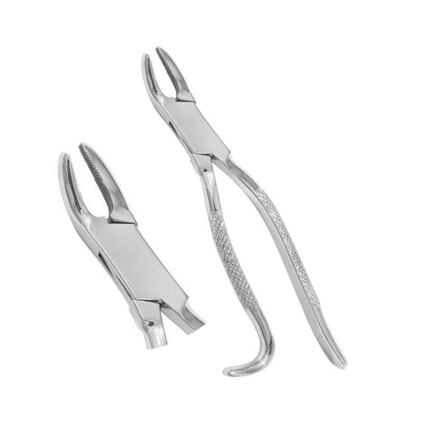 Wolf Tooth Forceps 9.5"