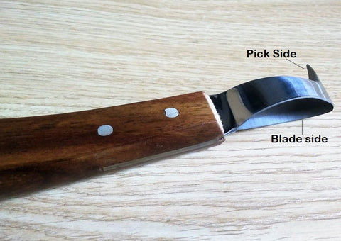 Loop Knife with Pick Head